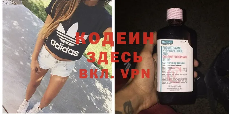 Кодеиновый сироп Lean Purple Drank  ссылка на мегу зеркало  Заводоуковск  купить наркоту 